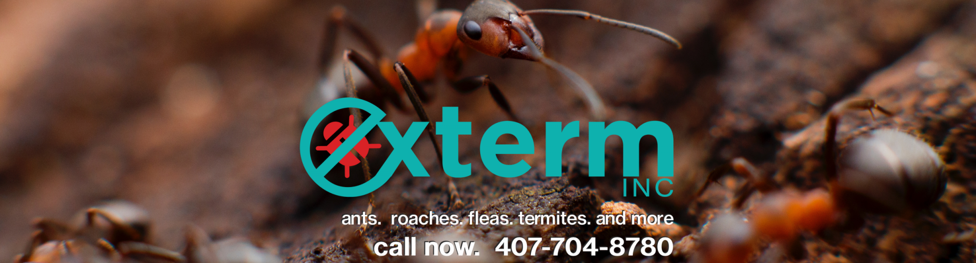 exterm-ants-banner
